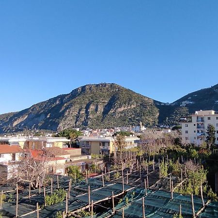 B&B Tina Piano di Sorrento Exterior foto